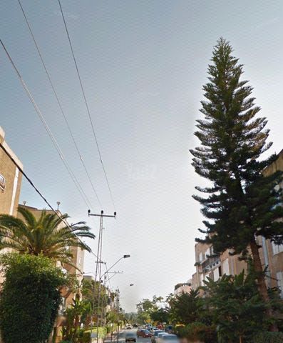 החשמונאים 