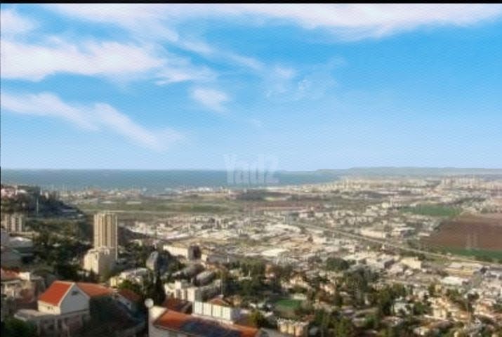 כליל החורש 