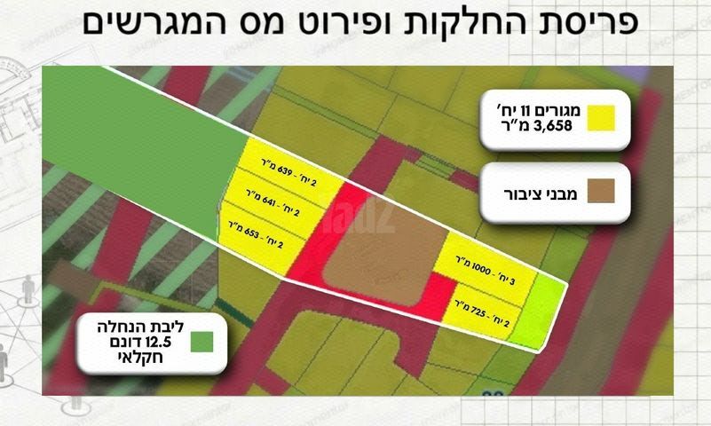 שניאור נירברג 