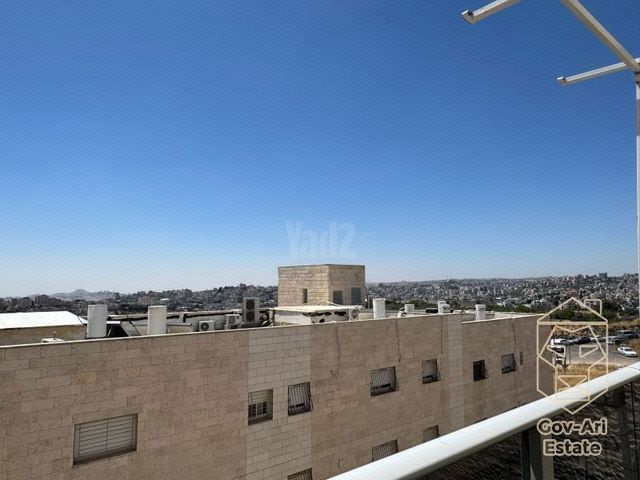 הרב דוד אלטשולר