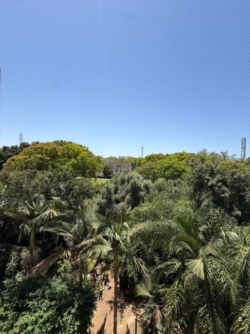 נחל הבשור 30