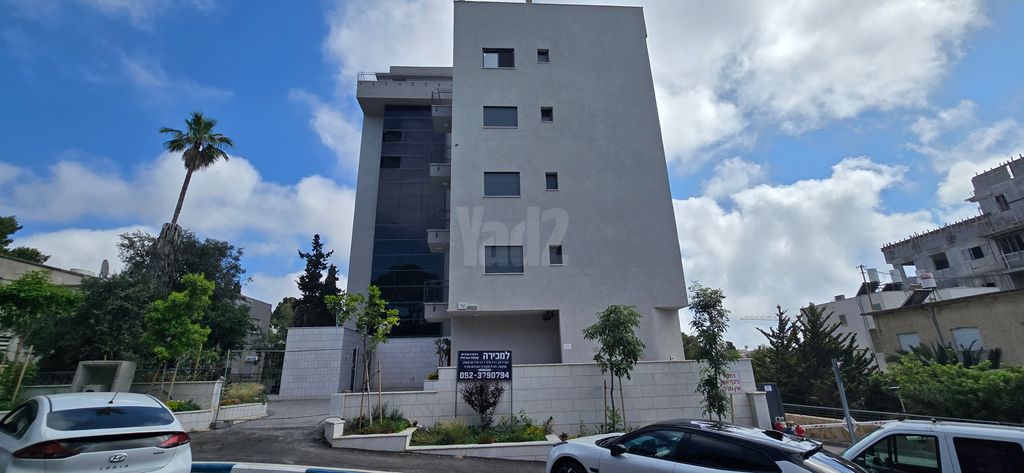דוד פינסקי