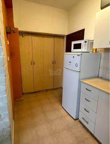 - תמונה 3