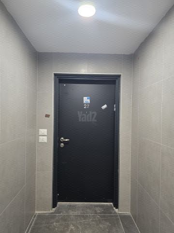 אלישע 