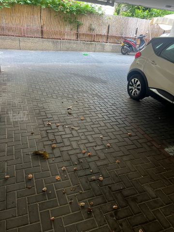 חניה להשכרה בתל אביב יפו (תיווך) — 3