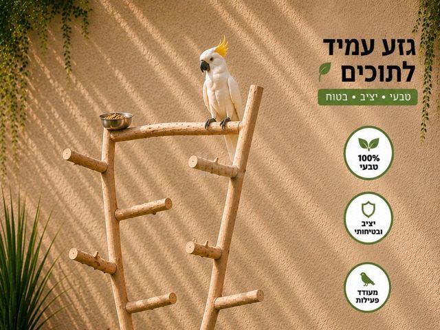 תמונת מודעה - חיות מחמד