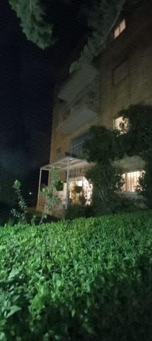 הפלמ"ח 26