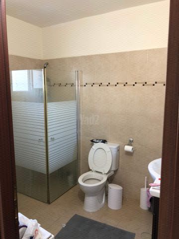 עוזיאל 101