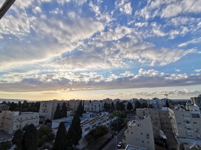 דוד נוי 62