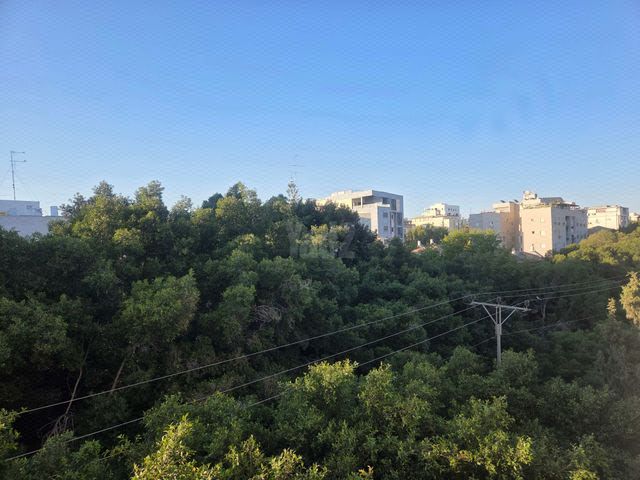 יעקב 38