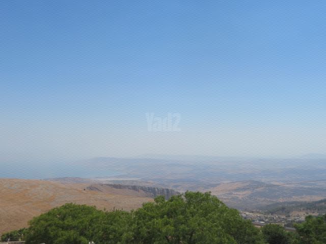 דוד רמז 103