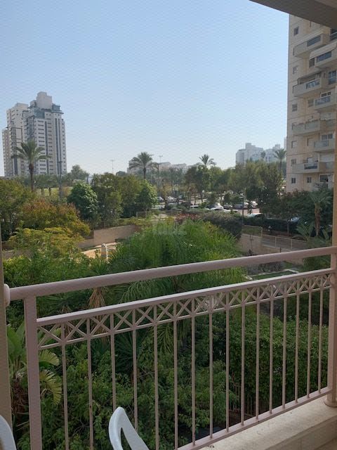הרימון 10