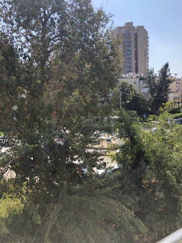 השומרון 13