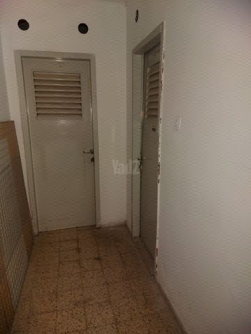 כנפי נשרים 10