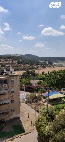 הנרקיס 14