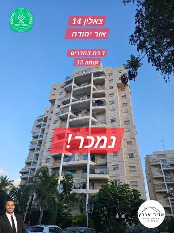 צאלון 