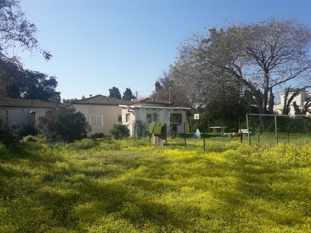 מגרשים