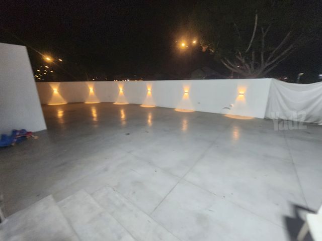 משה פריד 