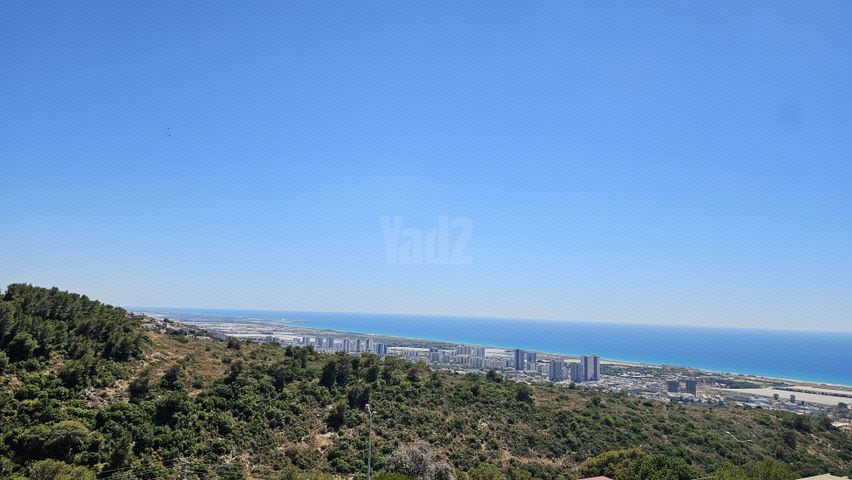 רמת אשכול