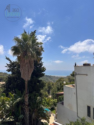 אידר