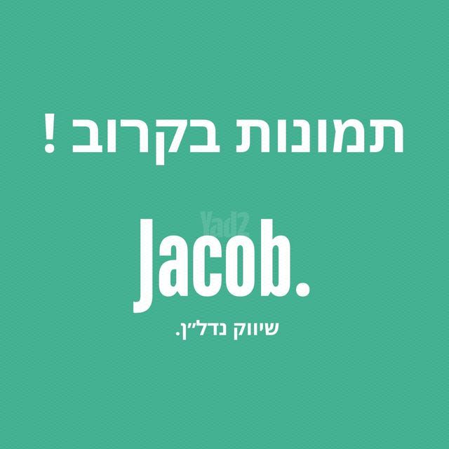 הכלניות 