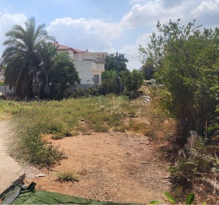 מגרשים