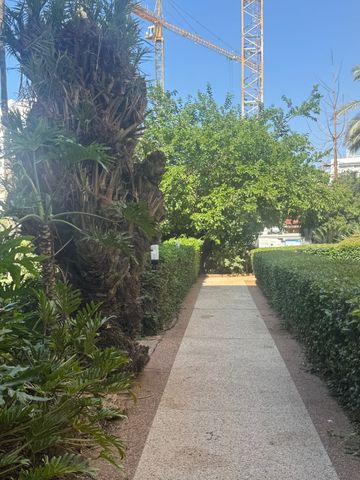 דירה למכירה בתל אביב יפו (תיווך) — 3