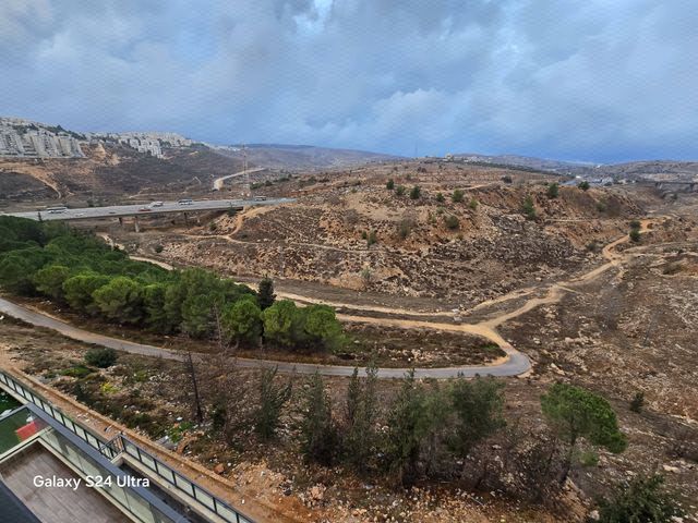 הרב שך 