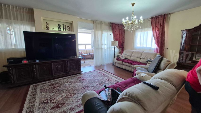 הערבה 