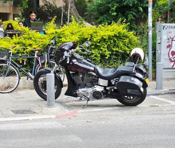 מודעת רכב הרלי דיווידסון לואו ריידר 103