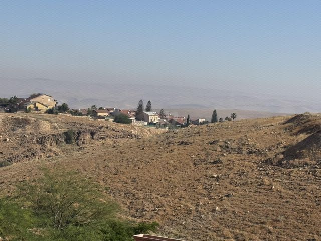 אירוסים 29