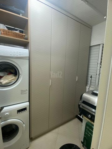 עין גדי 19