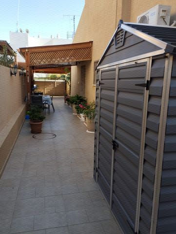 דוד הראובני 26