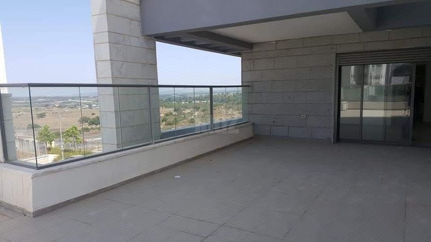 גפן 38