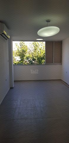 פיינברג 3