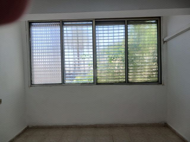 הזית 39