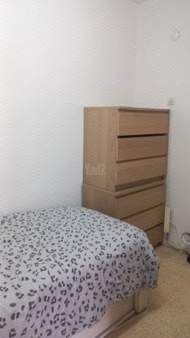 אליעזר הלוי 20