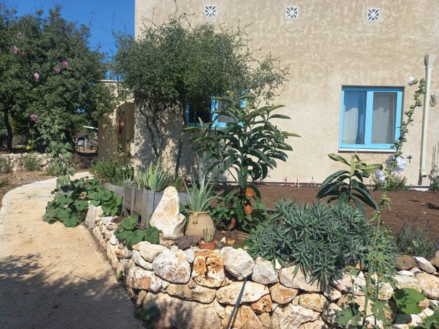 אל ההר 21