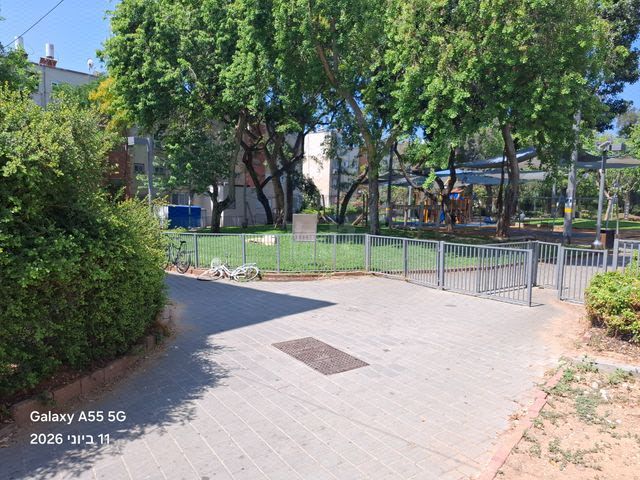 דב ממזריץ' 