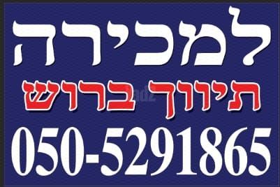 אלי אמיר 