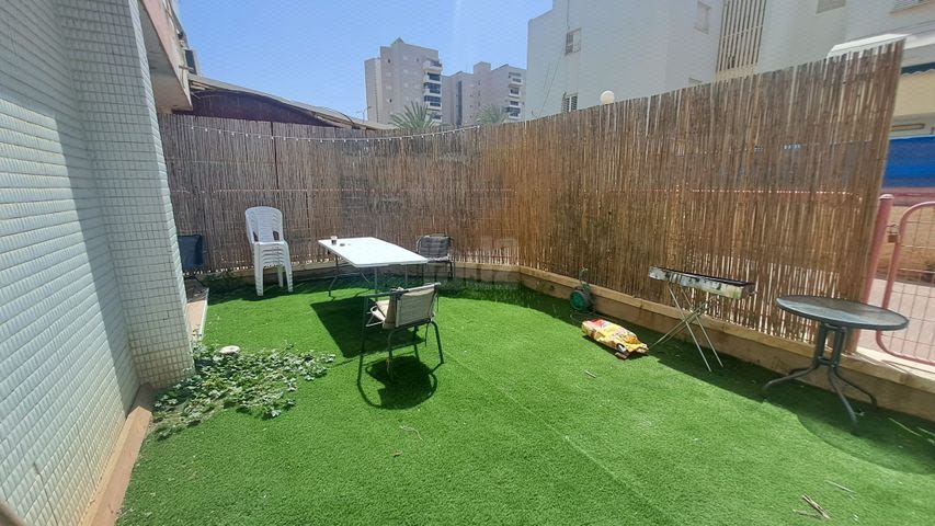 משה סתיו 