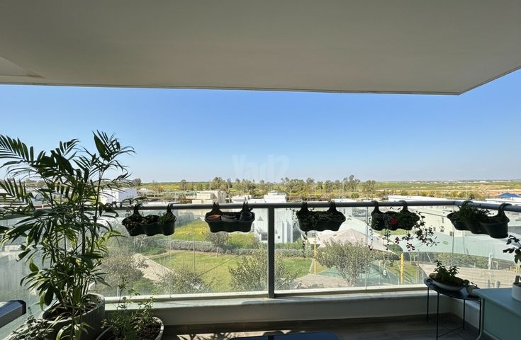 אריאל שרון 