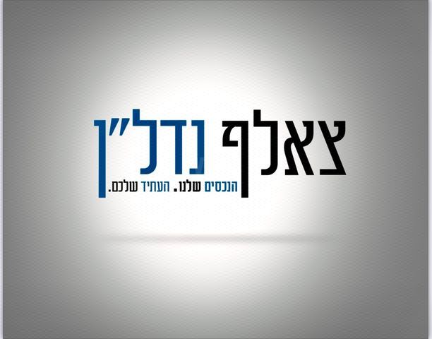 יונתן נתניהו 