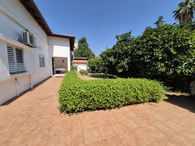 Rehovot, Israel 4