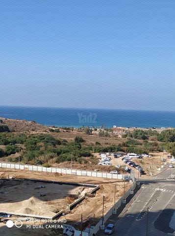 אריק איינשטיין 3