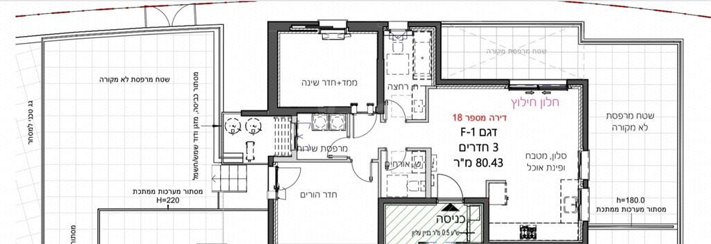 פרופסור יעקב נאמן 