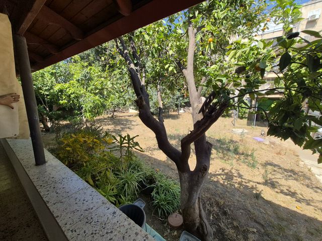 Rehovot, Israel 2