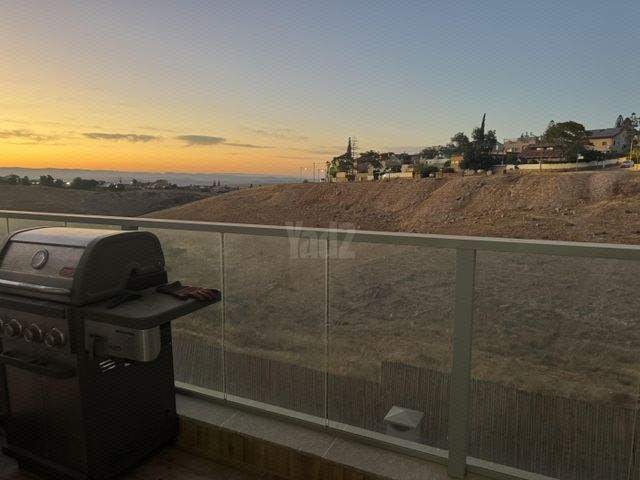 אירוסים 29