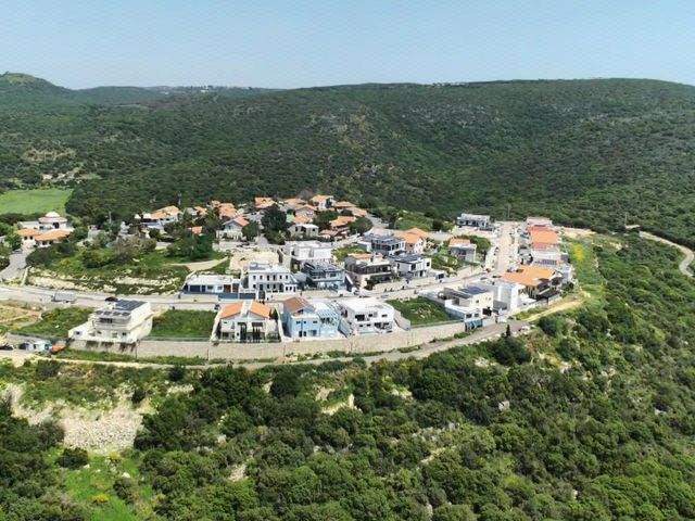 התמר 1