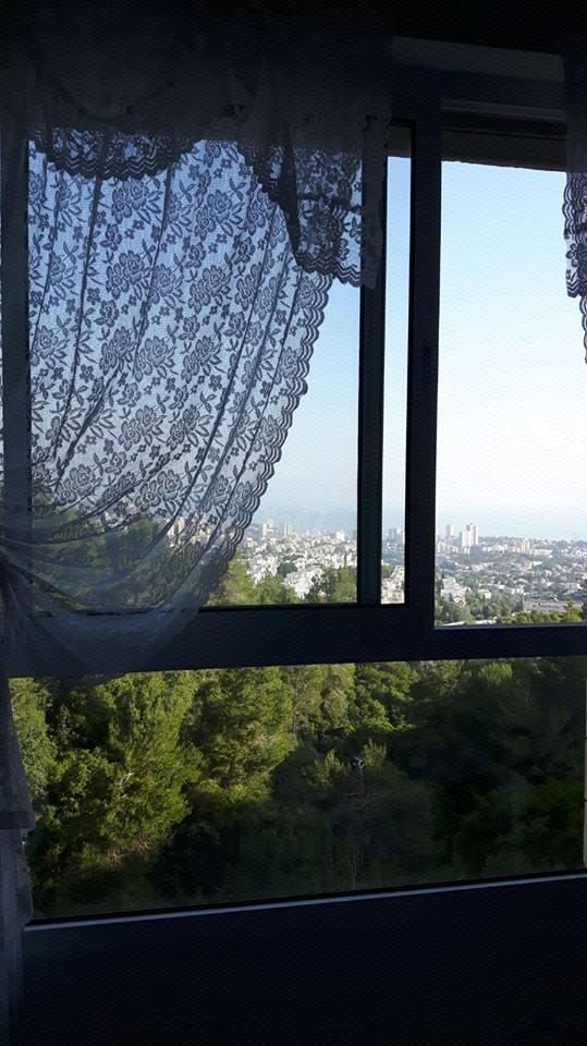 התאנה 11